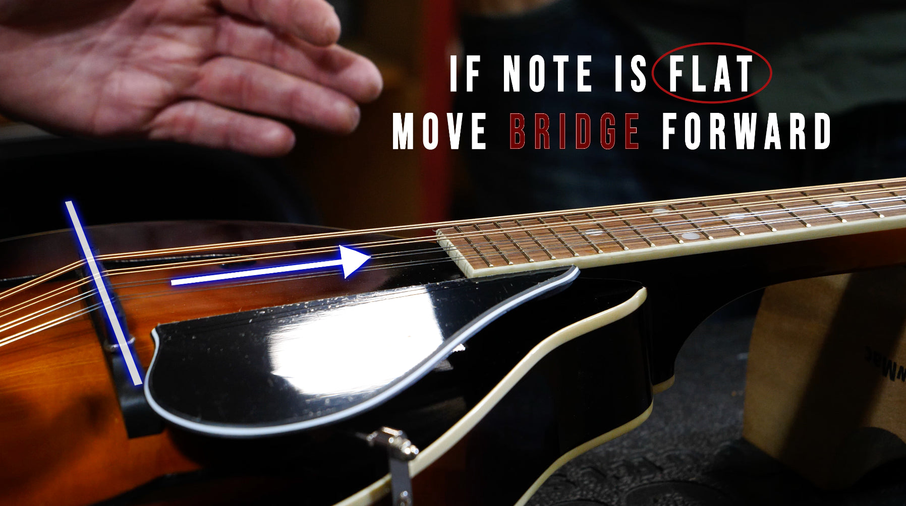 How to Set a Mandolin Bridge