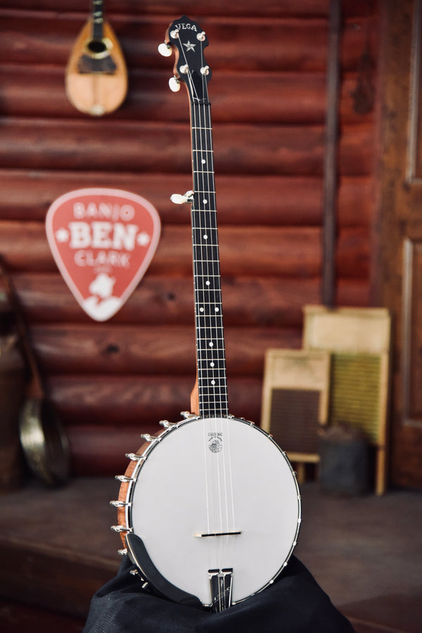 ロングネックバンジョー Long Neck Banjo for sale | eBay