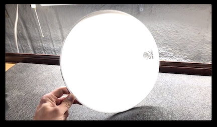 How To Clean Your Banjo Head!