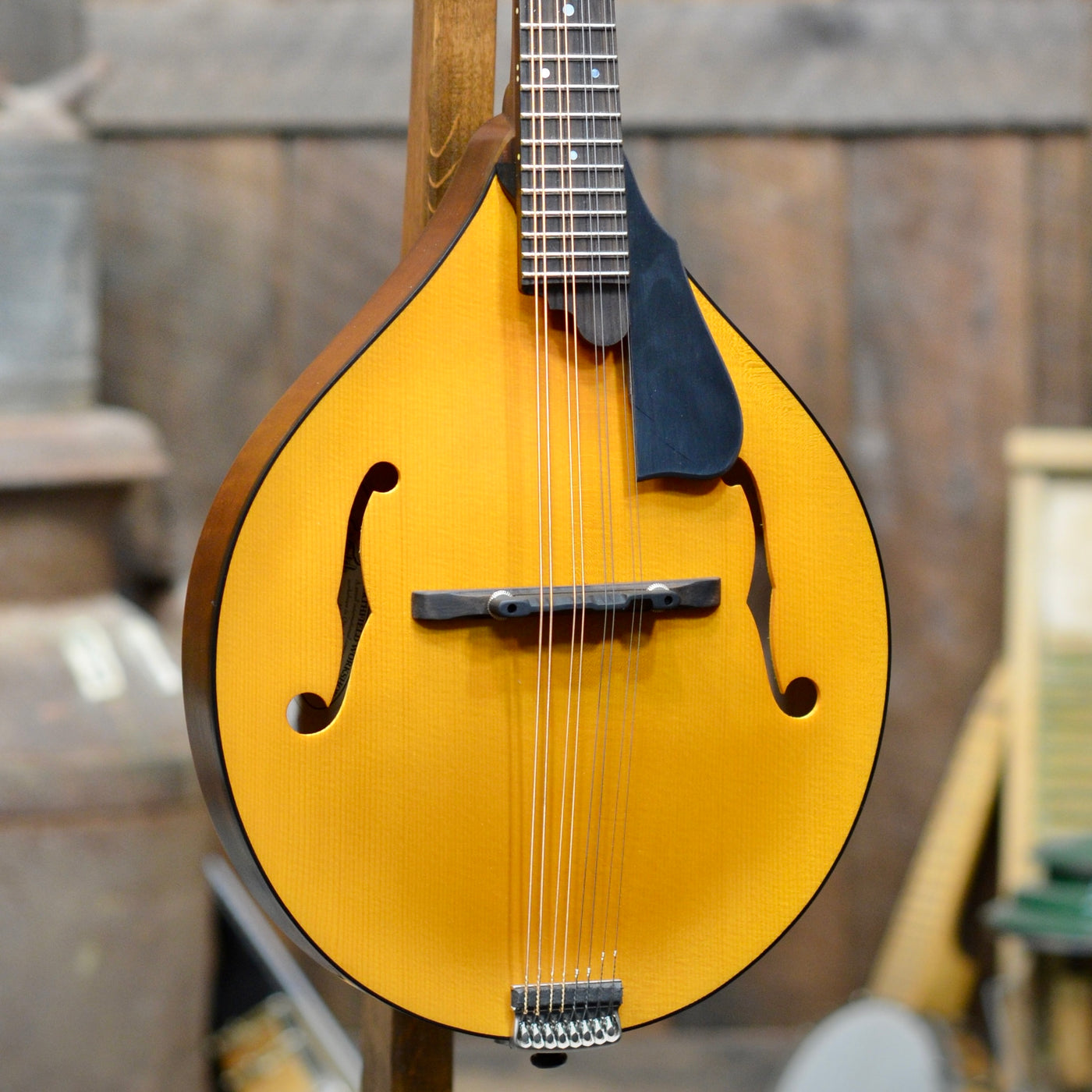 Eastman MD505 A-Style Mandolin With Case - Banjo Ben's