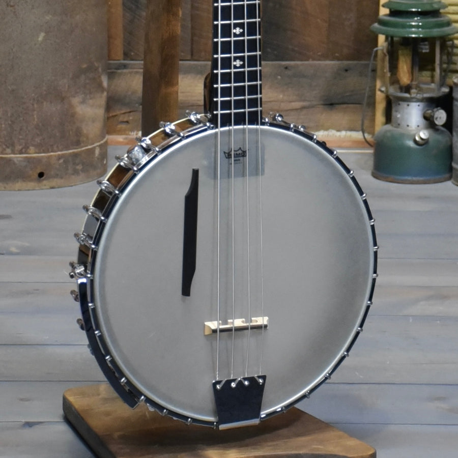 Gold Tone BB-400+ Banjo Bass With Pickup and With Case