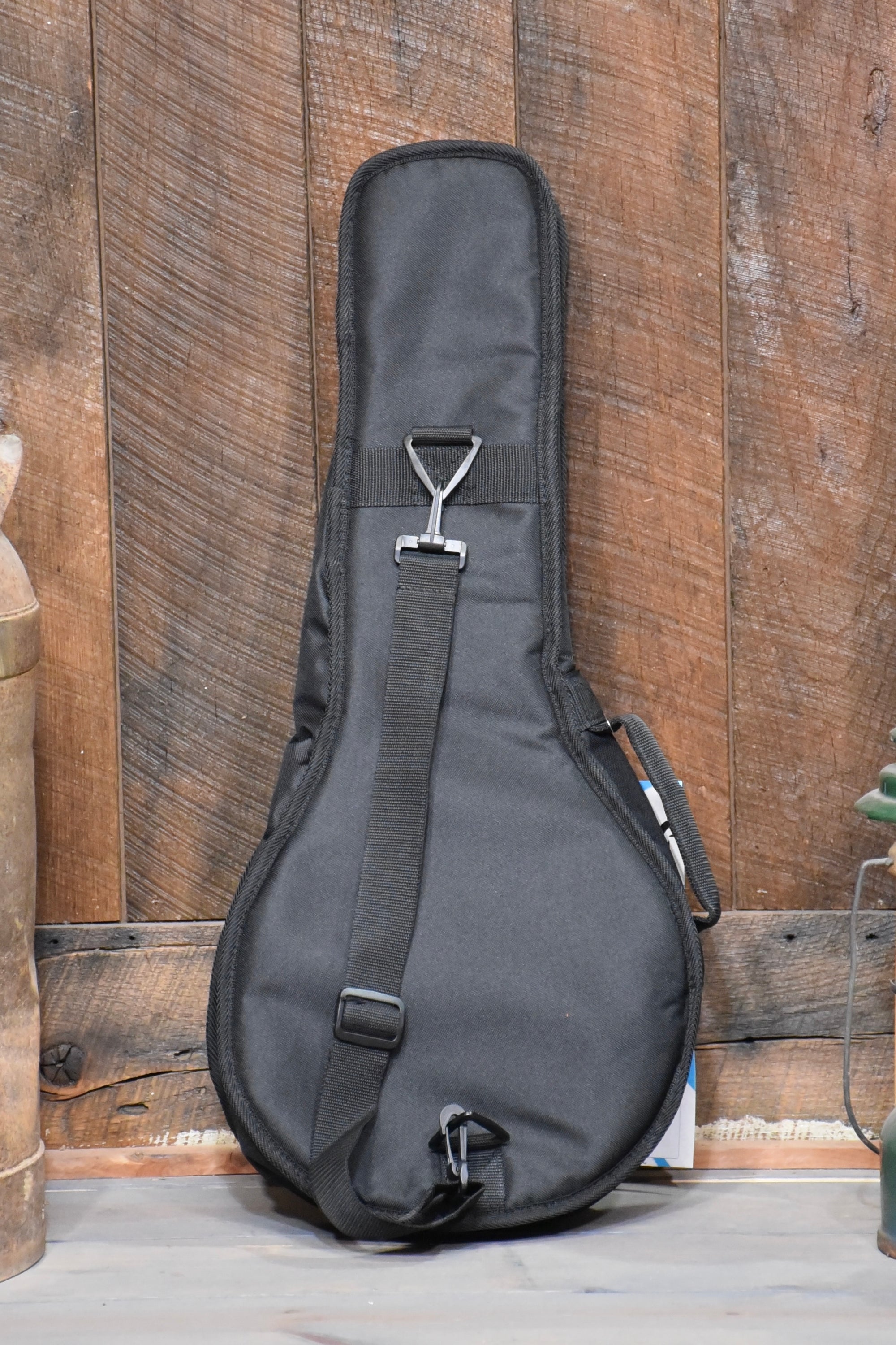 Superior Gig Bag For Mandolin
