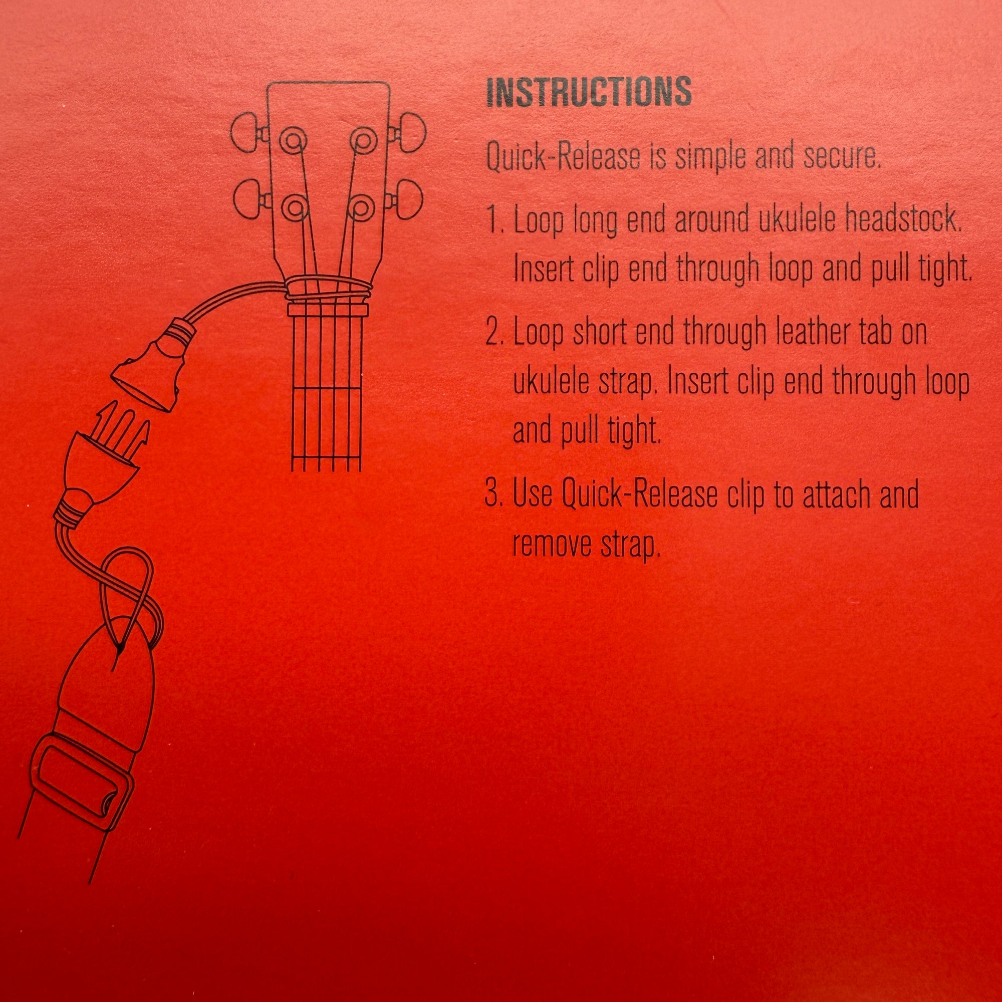 D'addario DGS12 Small Instrument Quick Release System