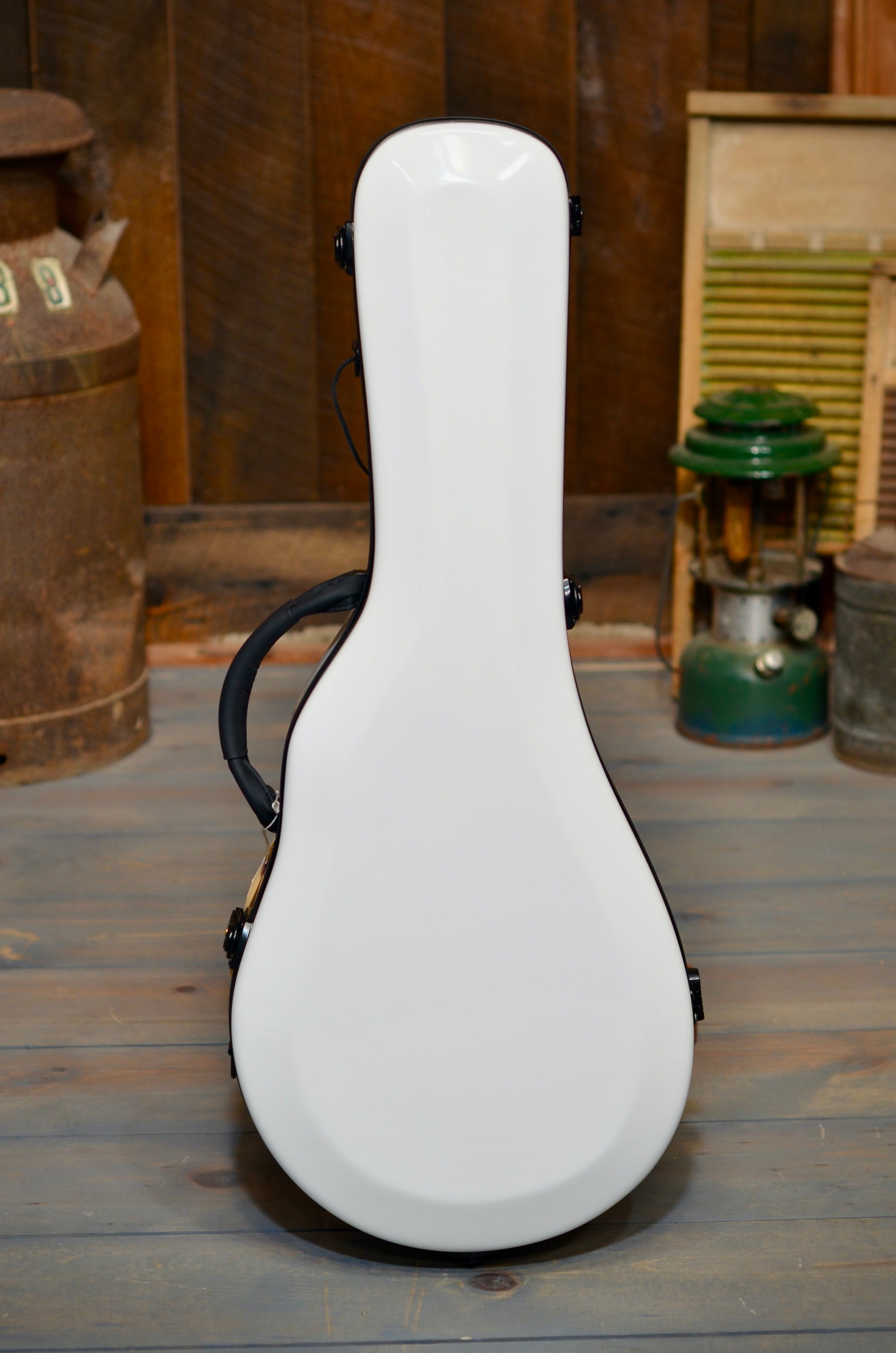 Pava F5 Satin F-Style Mandolin With Case