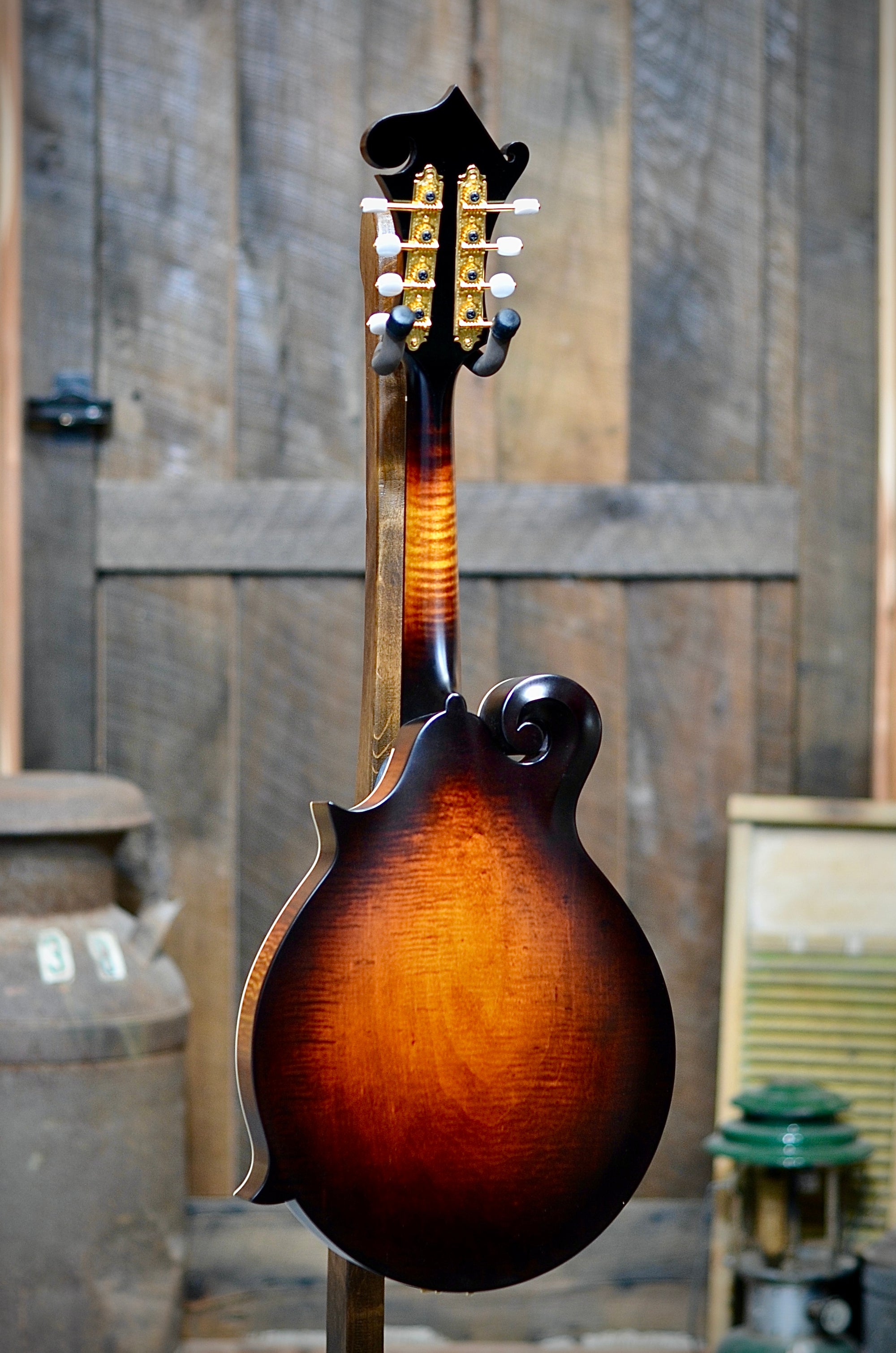 Pava F5 Satin F-Style Mandolin With Case
