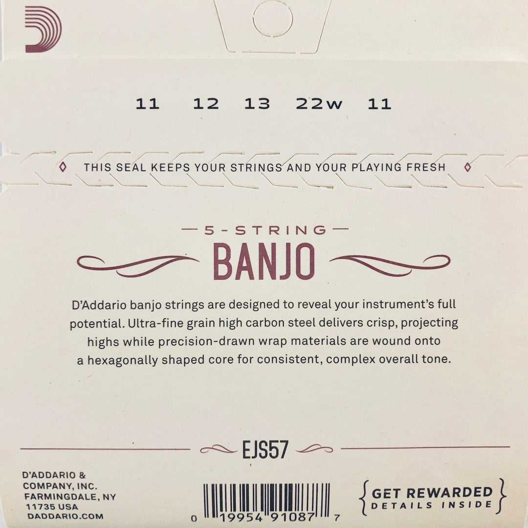 D'Addario EJS57 Custom Medium Stainless Steel Banjo Strings
