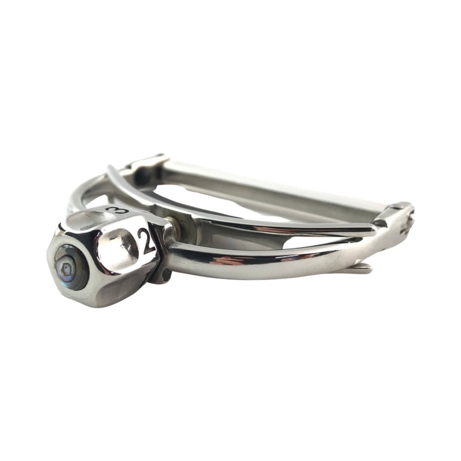 Shubb Fine Tune Capo for Guitar