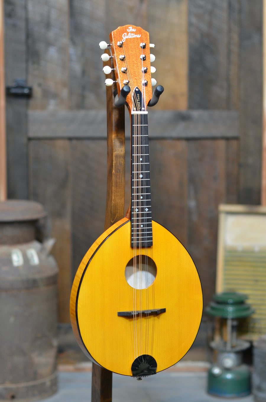 Gold Tone GM-10 Frypan Mandolin With Case