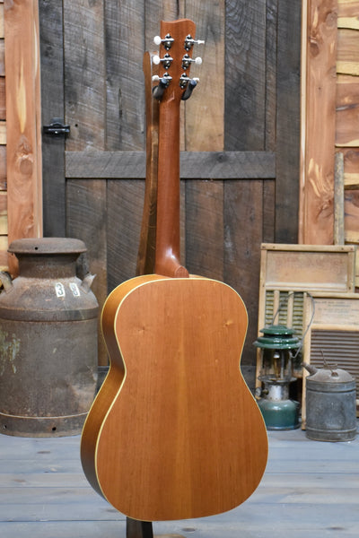 Gallagher Shelby Folk Dreadnought Guitar With Case