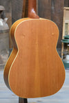 Gallagher Shelby Folk Dreadnought Guitar With Case