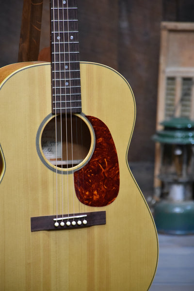 Gallagher Shelby Folk Dreadnought Guitar With Case