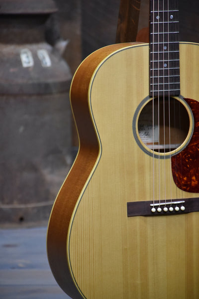 Gallagher Shelby Folk Dreadnought Guitar With Case