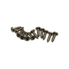 Beard CS-20 Dobro Coverplate Screws - Set of 12