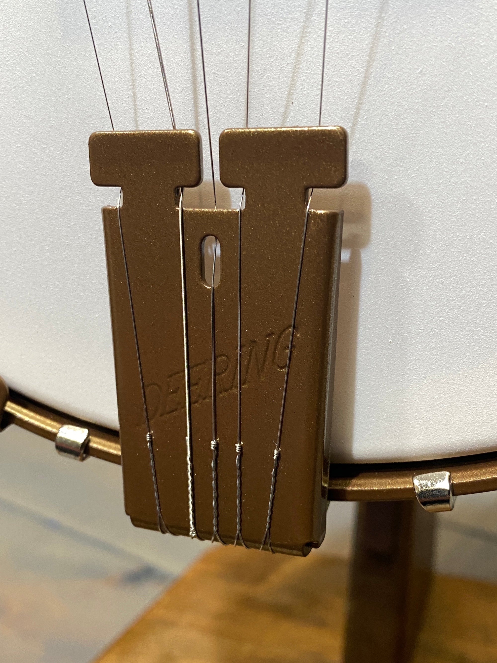 Bundle Deal - Deering Goodtime 5-String Openback Banjo