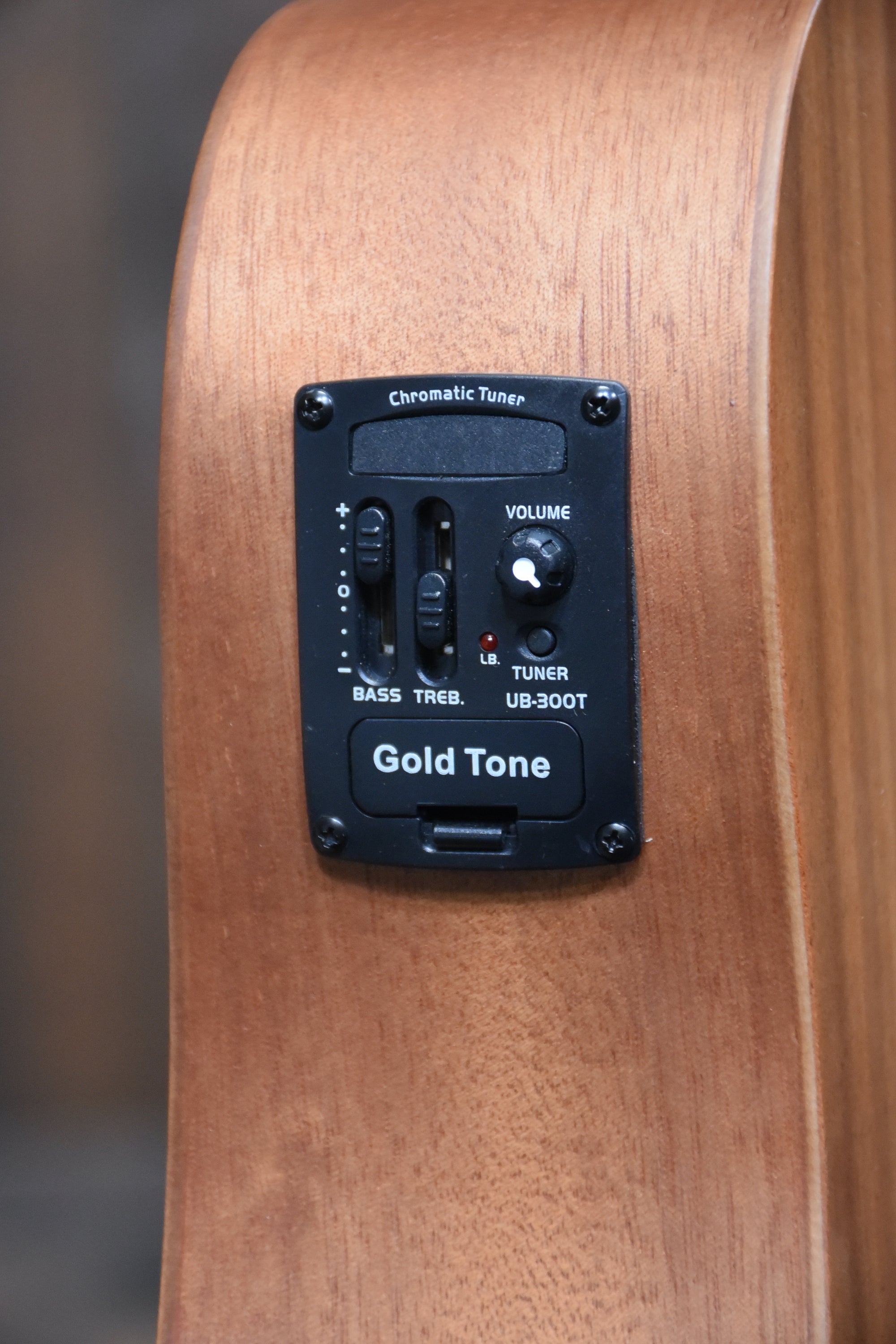 Gold Tone M-Bass 23 Inch Scale Fretless Acoustic Electric Micro Bass With Case