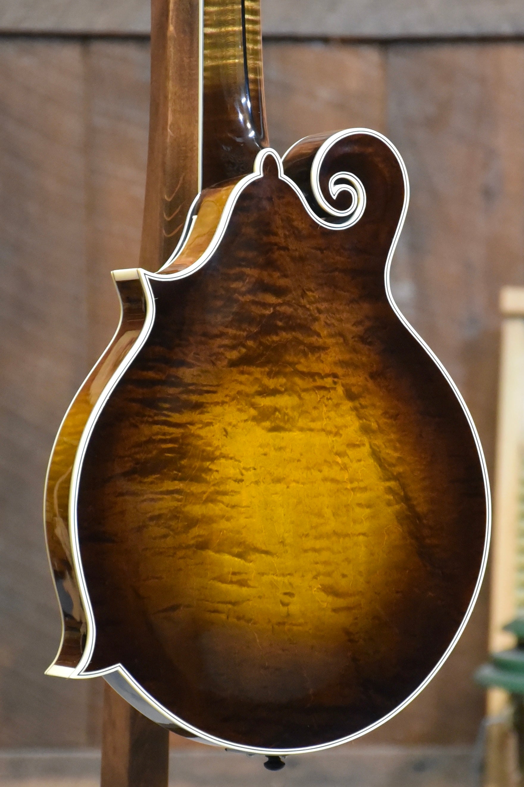 Northfield Artist Series Premium F-Style Wide-Nut One Piece Back Mandolin With Case