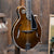 Bundle Deal - Northfield Artist Series Premium F-Style One Piece Back Mandolin With Case - Brown