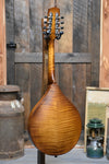 Northfield M Model Amber A-Style Mandolin With Case