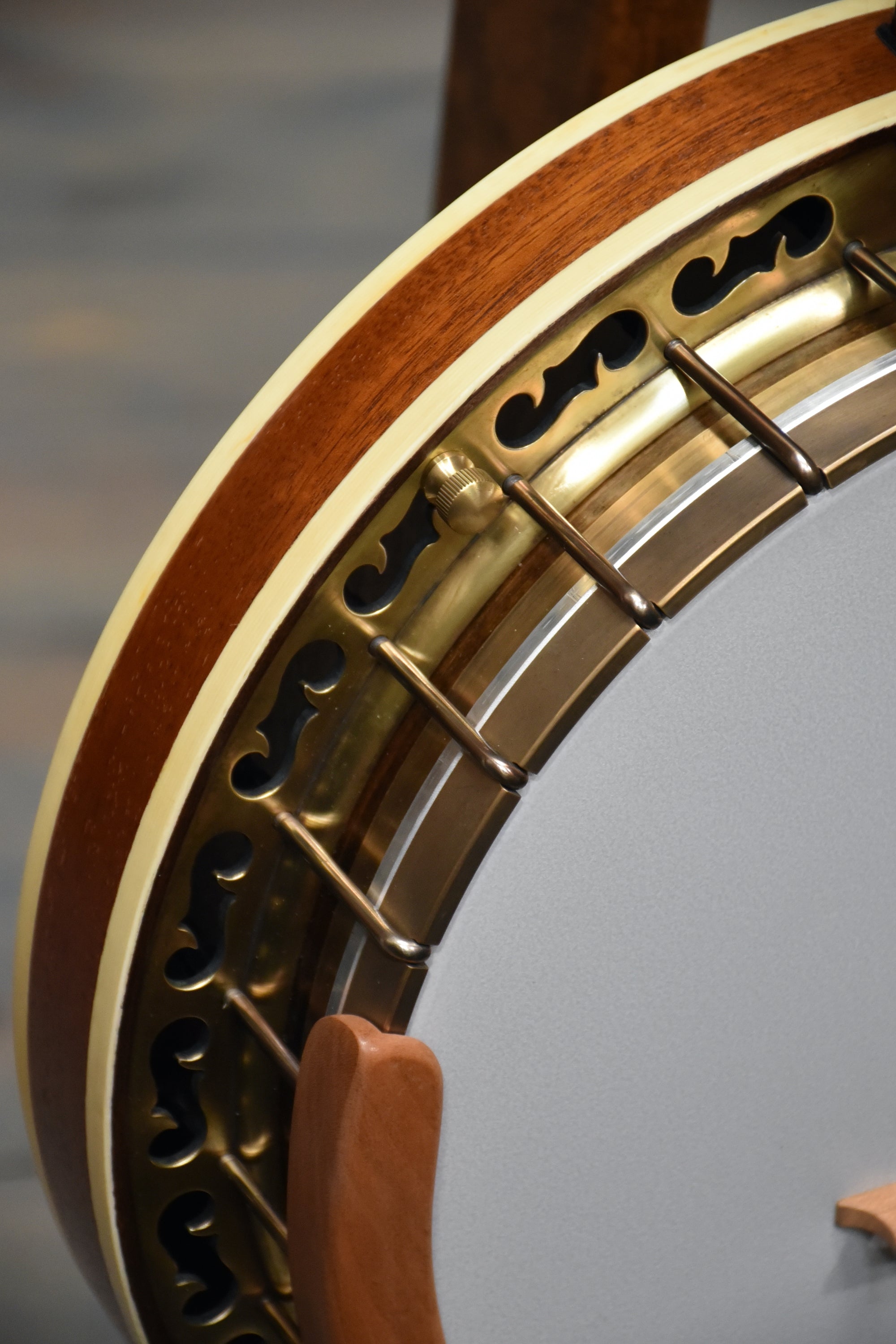 Bundle Deal - Ome Golden Hill Primrose 5-String Resonator Banjo With Case