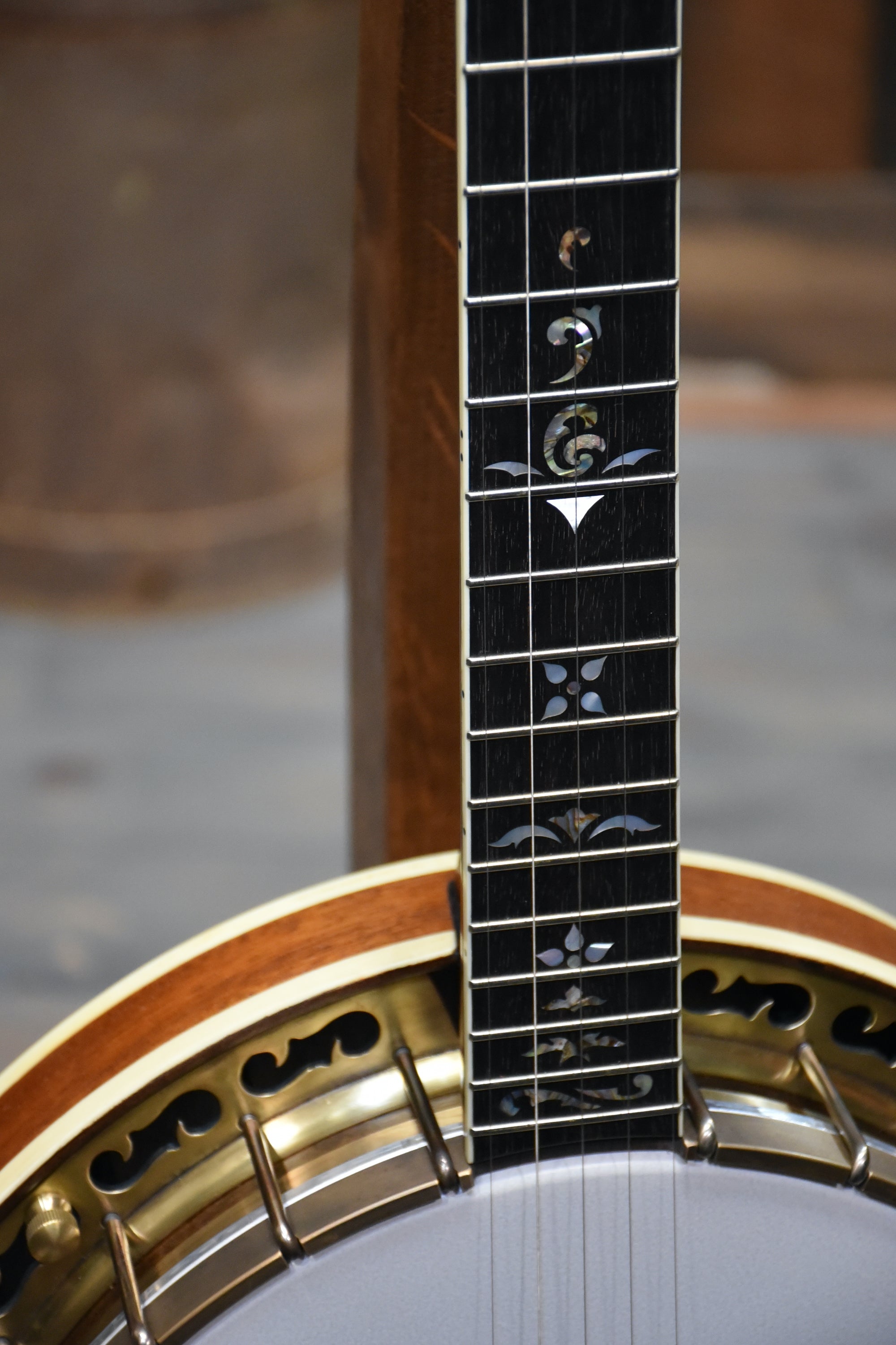 Bundle Deal - Ome Golden Hill Primrose 5-String Resonator Banjo With Case