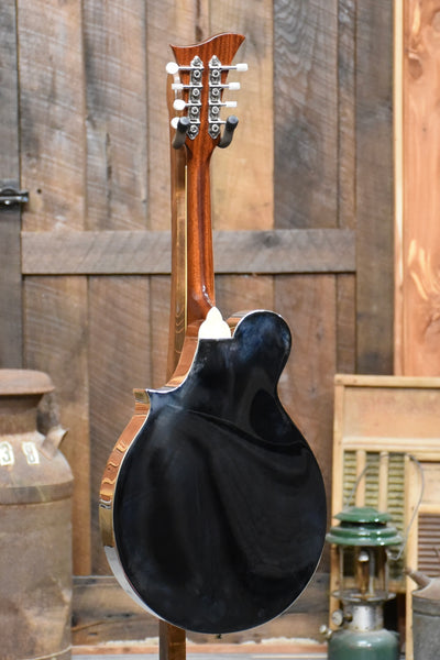 Pre-Owned Beltona Resonator Mandola With Calton Case