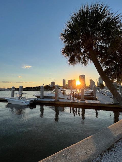 Banjo Ben's Cabin Camp - St. Petersburg, FL! March 7, 2026!