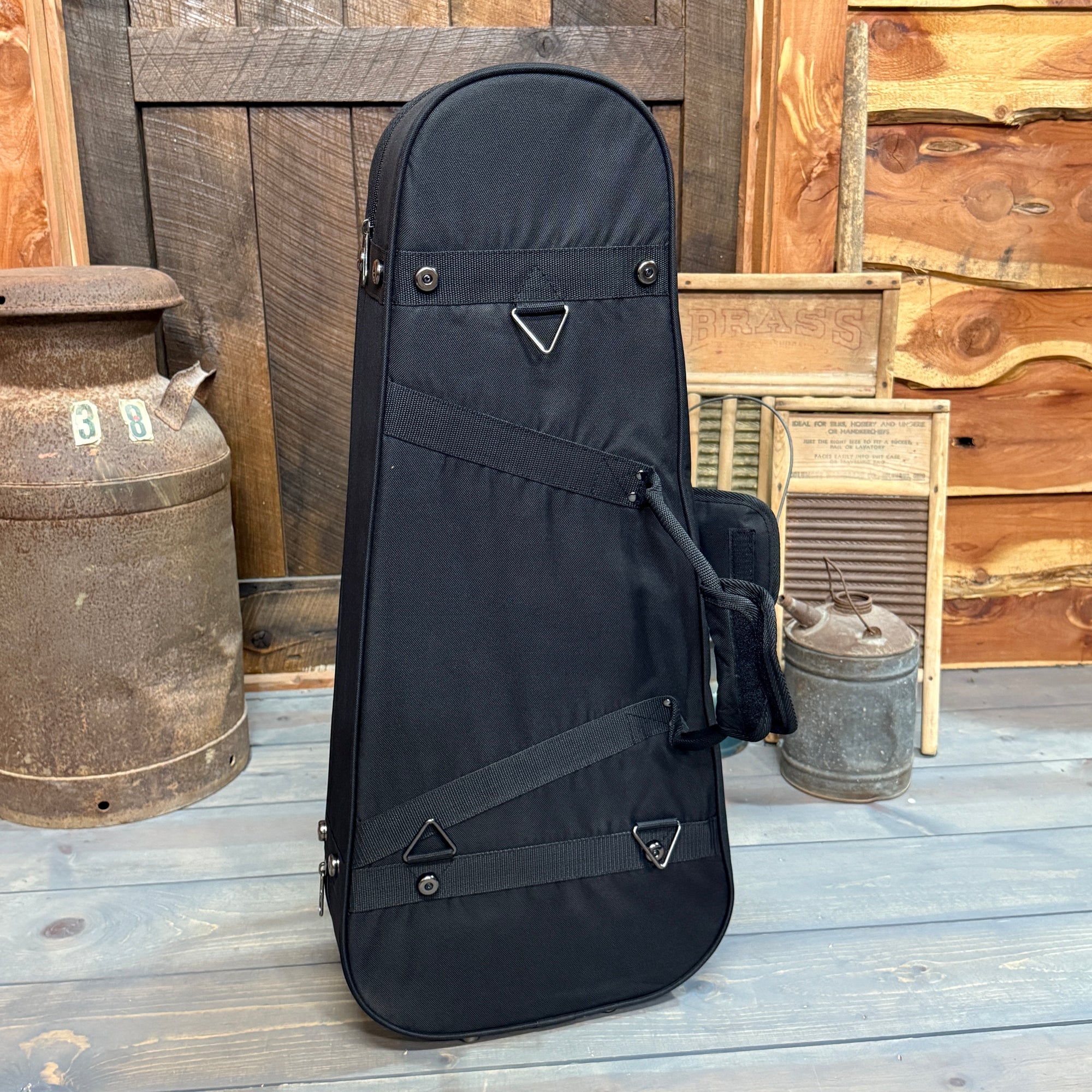 Travelite Mandolin Case