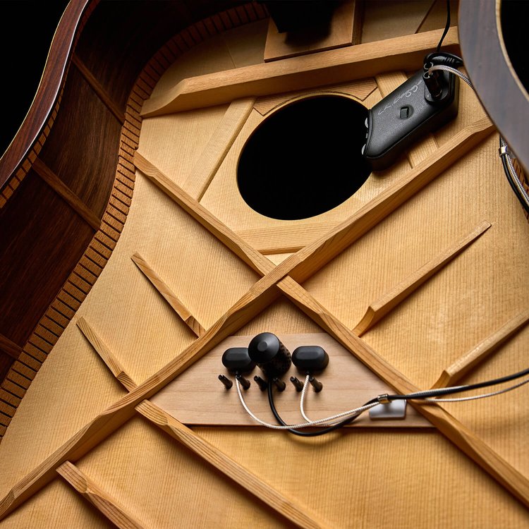 L.R. Baggs HiFi Duet High-fidelity Pickup and Microphone Mixing System