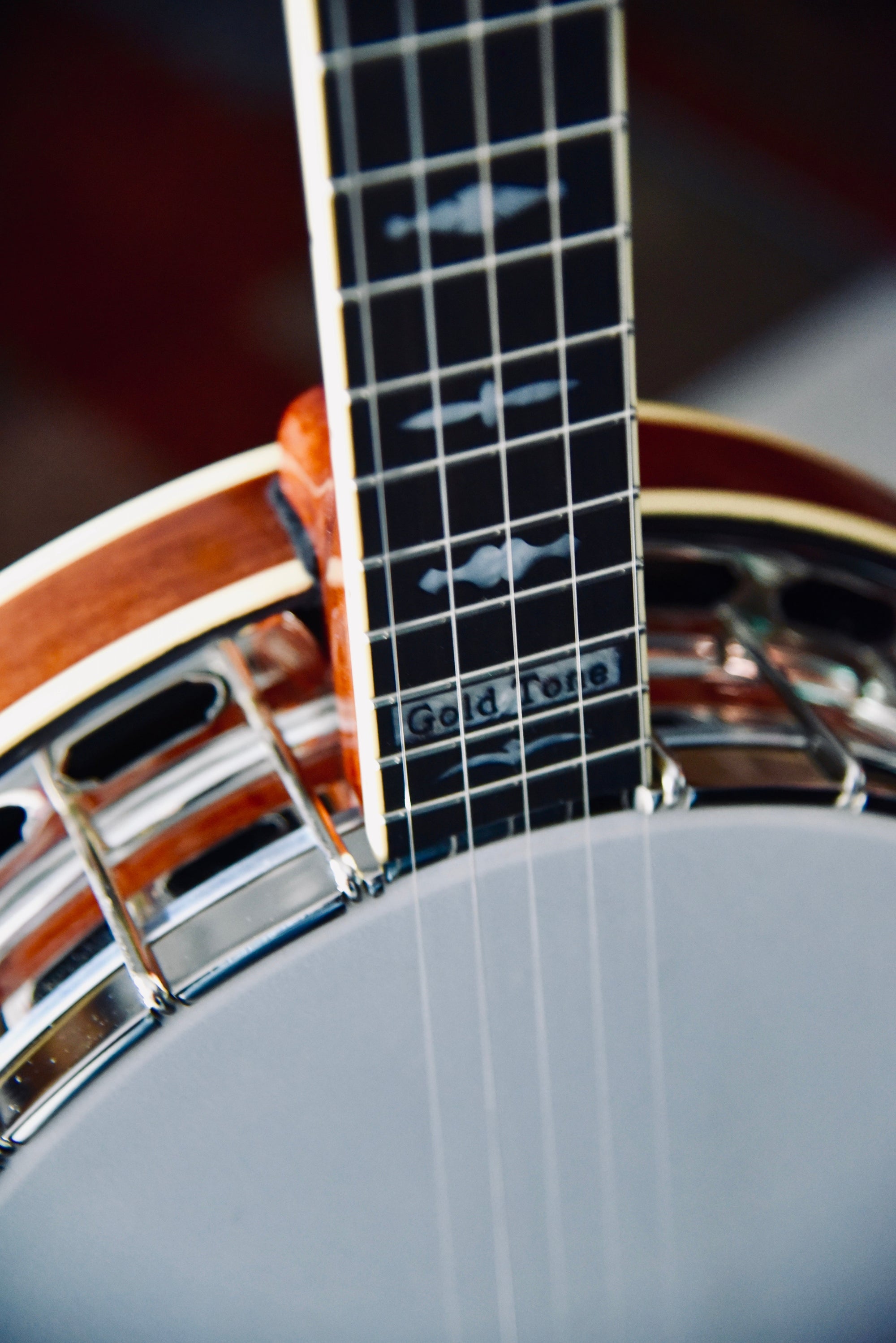 Gold Tone Mastertone™ OB-3RF “Twanger” 5-String Bluegrass Banjo With Radiused Fretboard and With Case