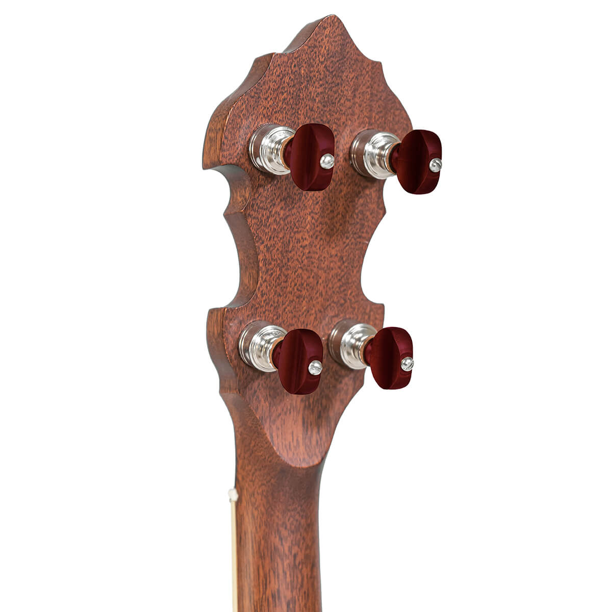 Gold Tone Mastertone™ “Bluegrass Heart” Béla Fleck Signature Banjo with Case