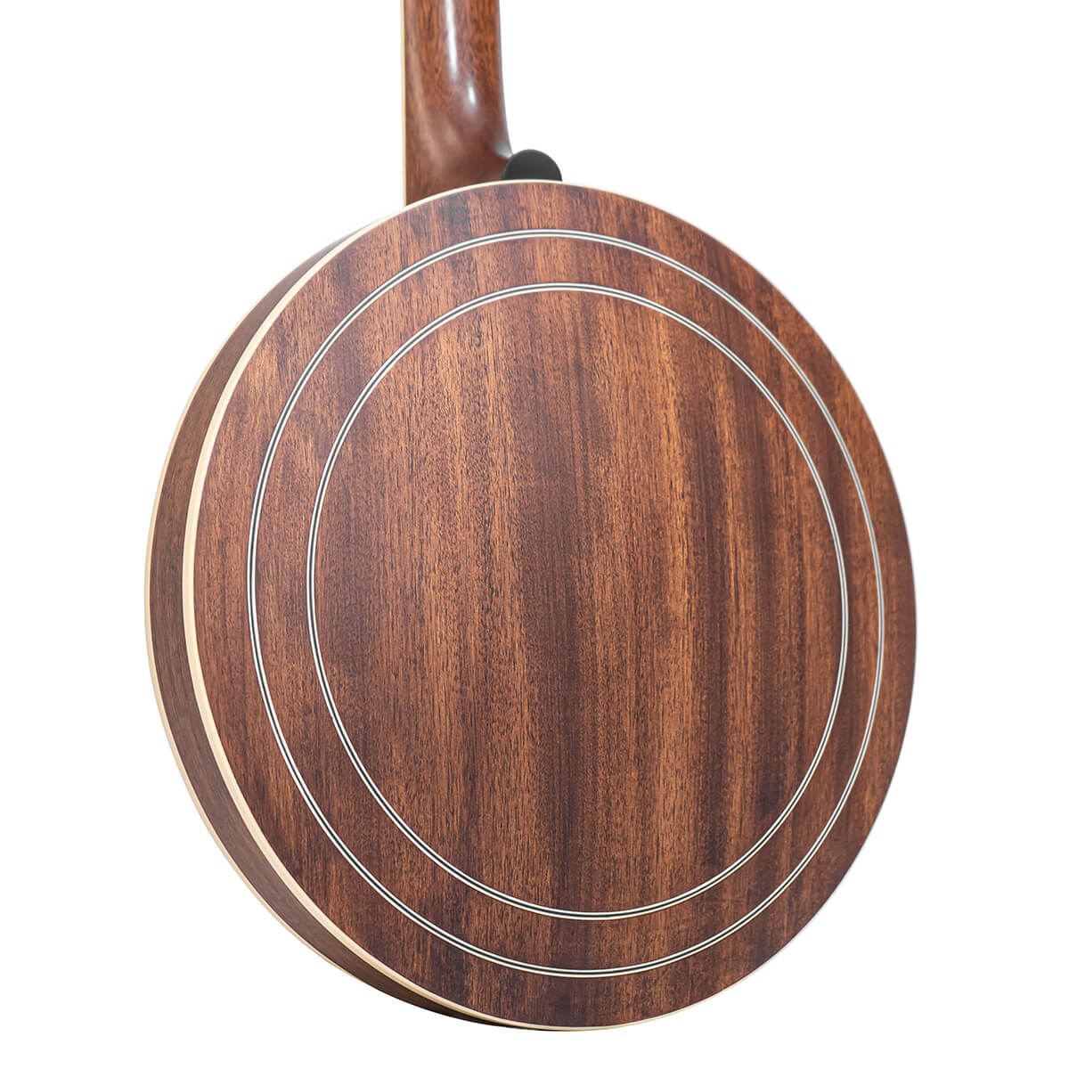 Gold Tone Mastertone™ “Bluegrass Heart” Béla Fleck Signature Banjo with Case