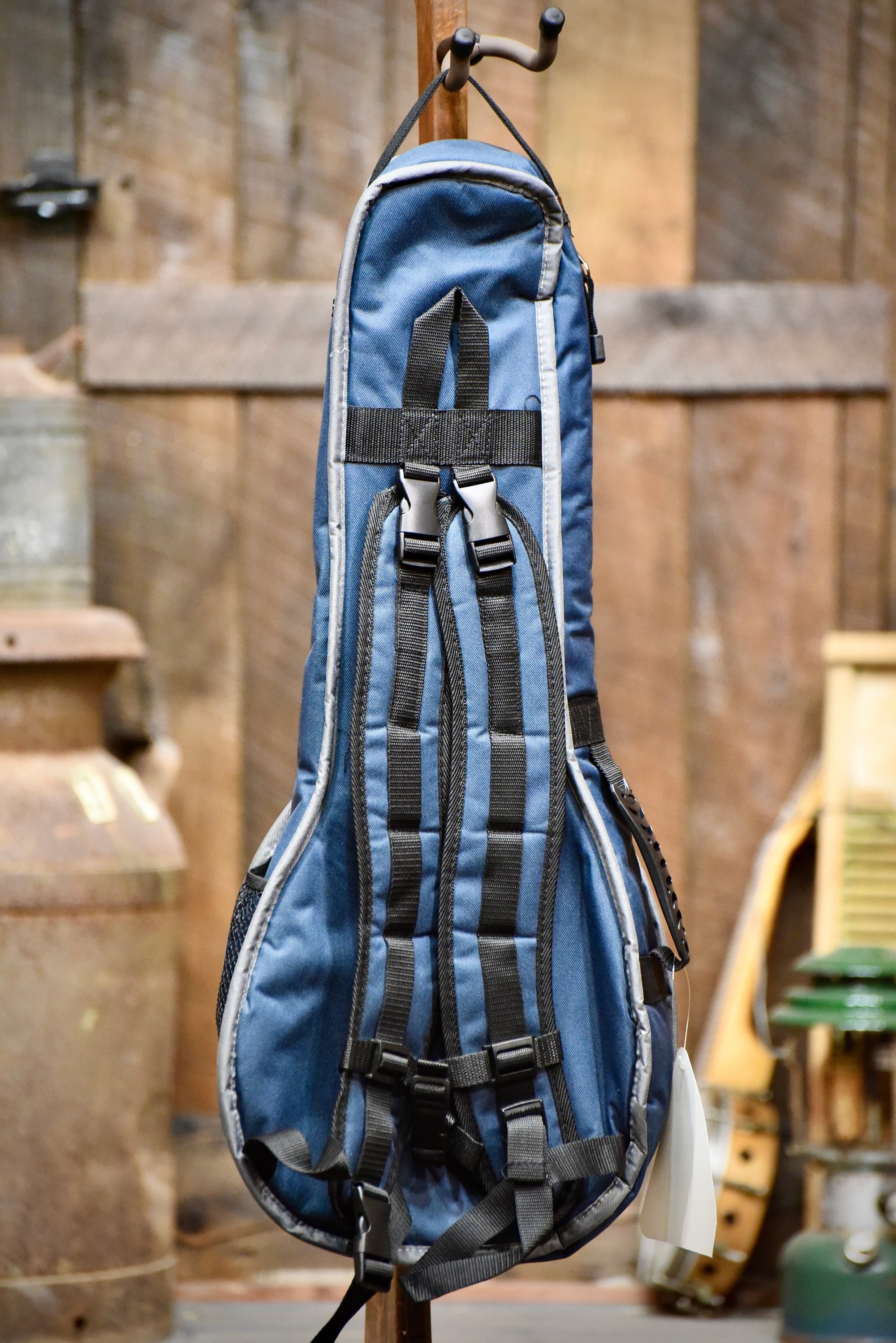 Boulder Alpine Mandolin AModel Gig Bag Banjo Ben's General Store