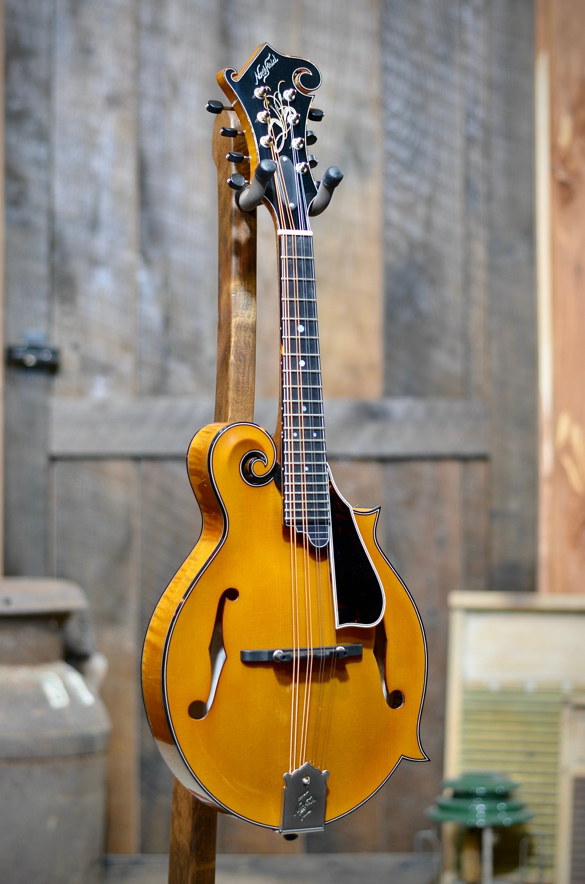 Northfield Artist Series Premium F-Style Honey Wide-Nut One Piece Back Mandolin With Case