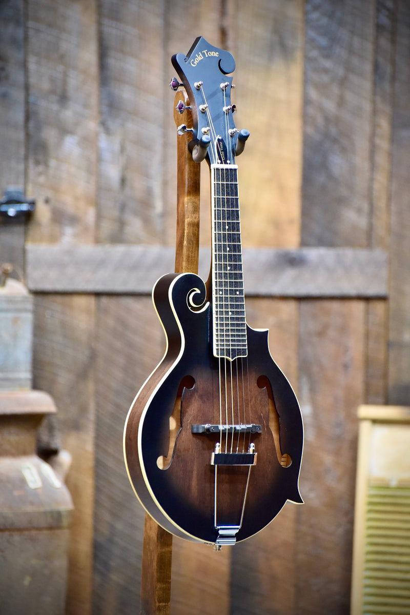 Gold Tone F-6 Manditar (Mandolin/Guitar) With Case - Banjo Ben's ...