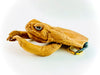 Cane Toad (Frog) Pick Pouch