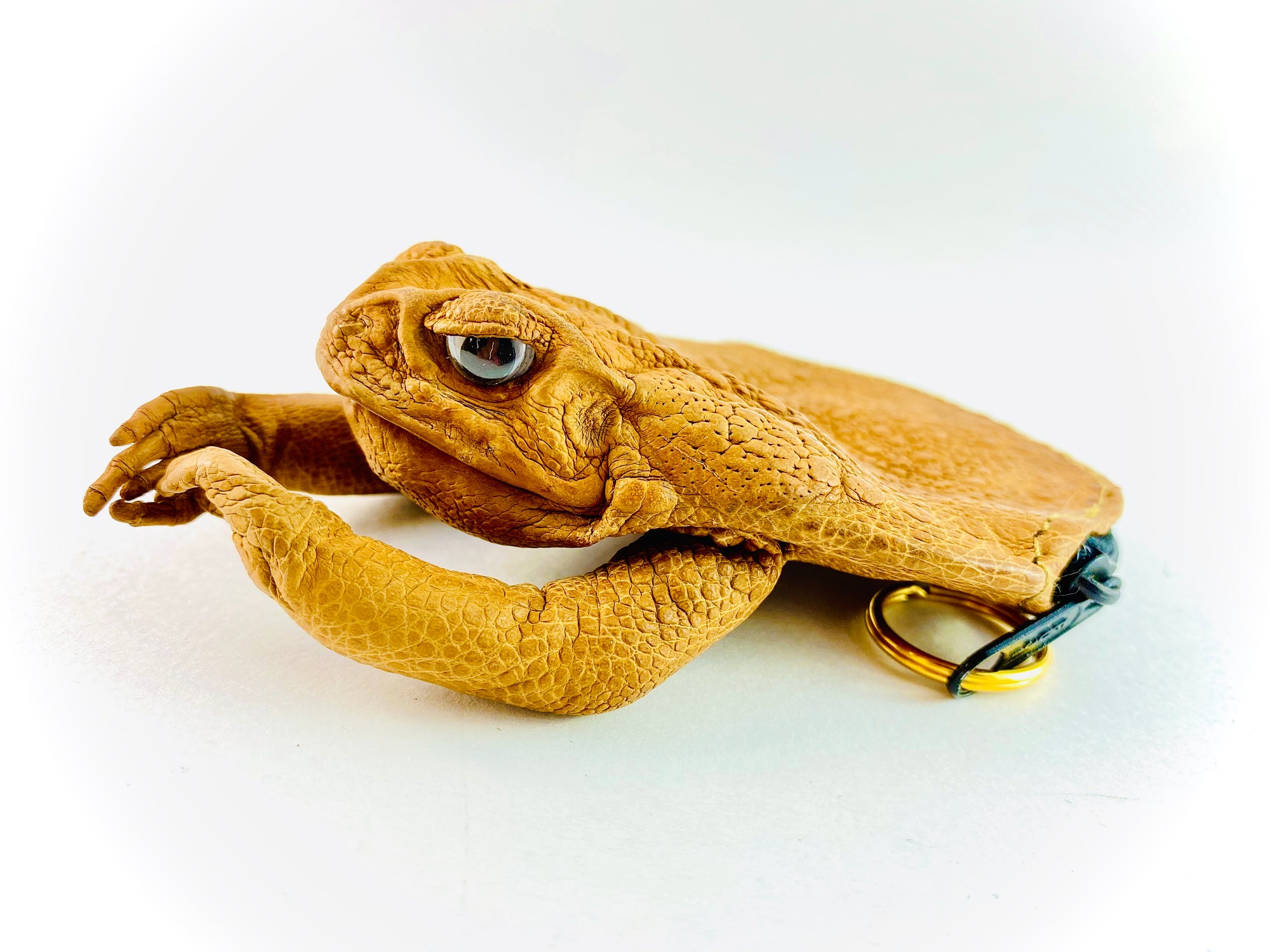 Cane Toad (Frog) Pick Pouch Banjo Ben's General Store