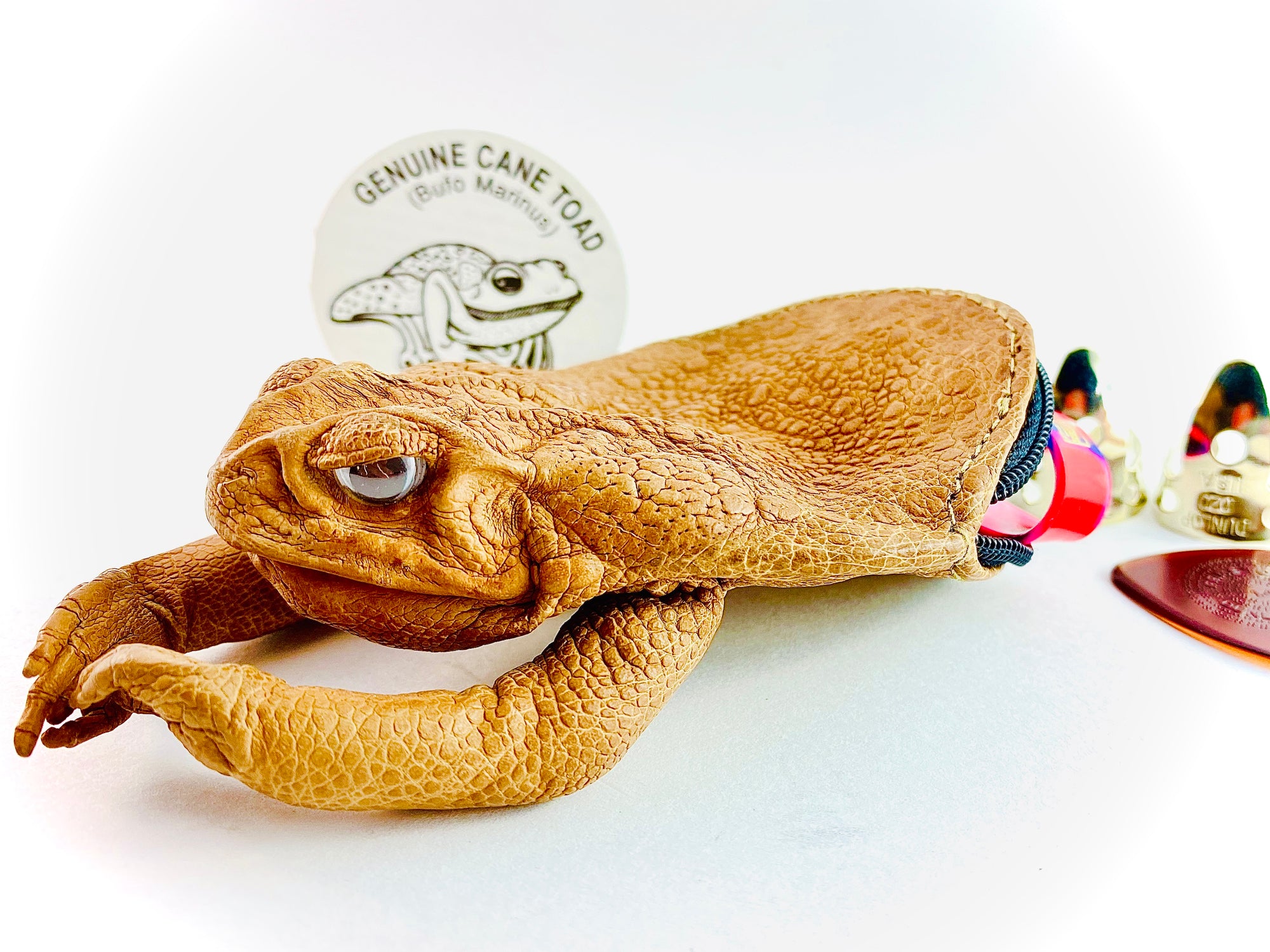 Garhelper Taxidermy Sugar Cane Design Full Body Coin Purse, Toad Cane Toad,  2022 Full Body Wallet for Home Decor, New Years Gifts (Brown) - Walmart.com
