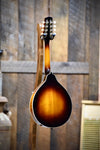 Kentucky KM-250 A-Style Mandolin With Case