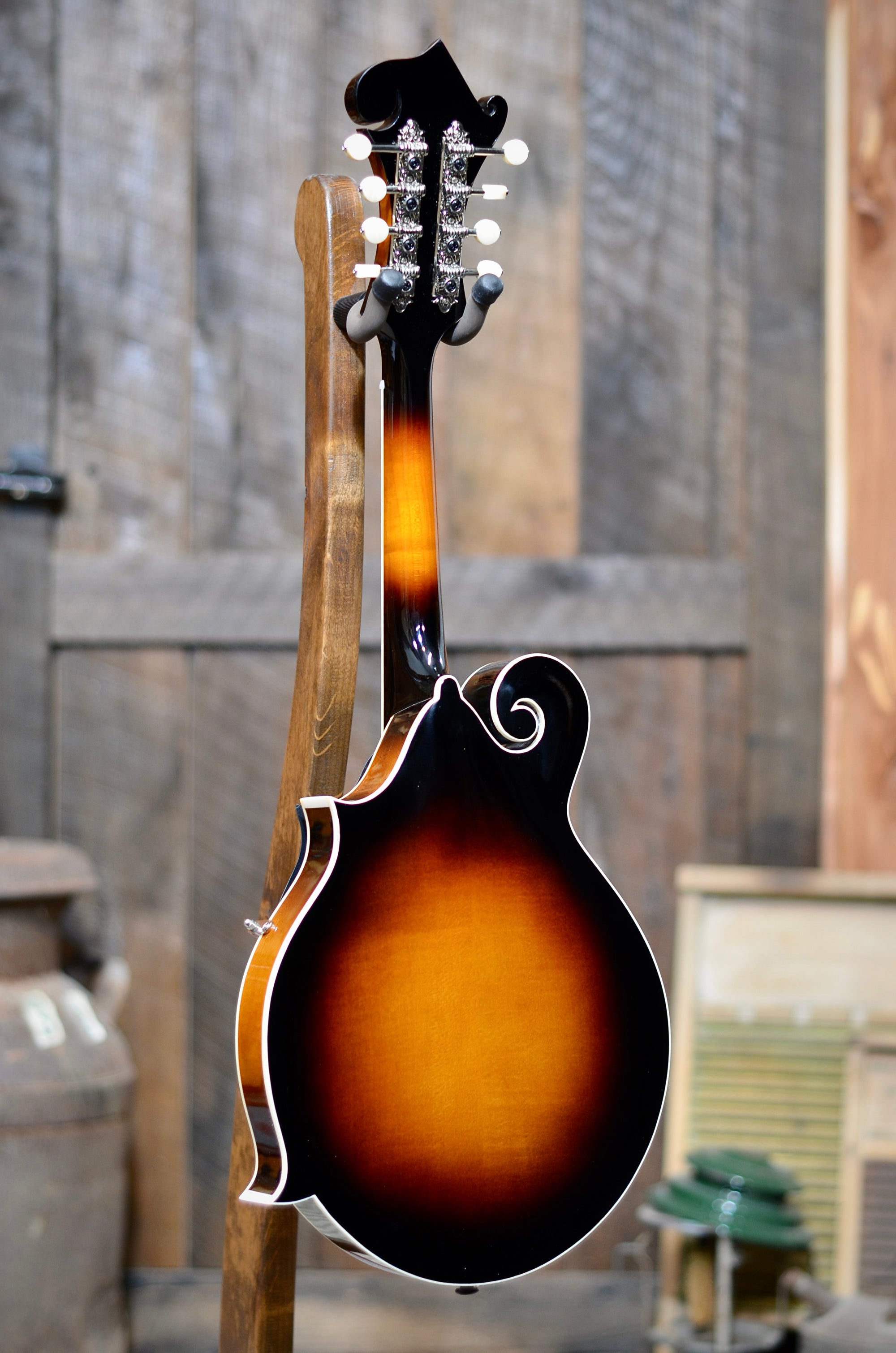 Bundle Deal - Kentucky KM-650 Standard F-Style Mandolin With Case