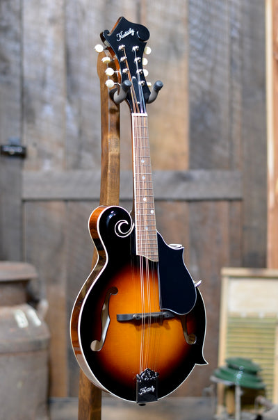 Bundle Deal - Kentucky KM-650 Standard F-Style Mandolin With Case
