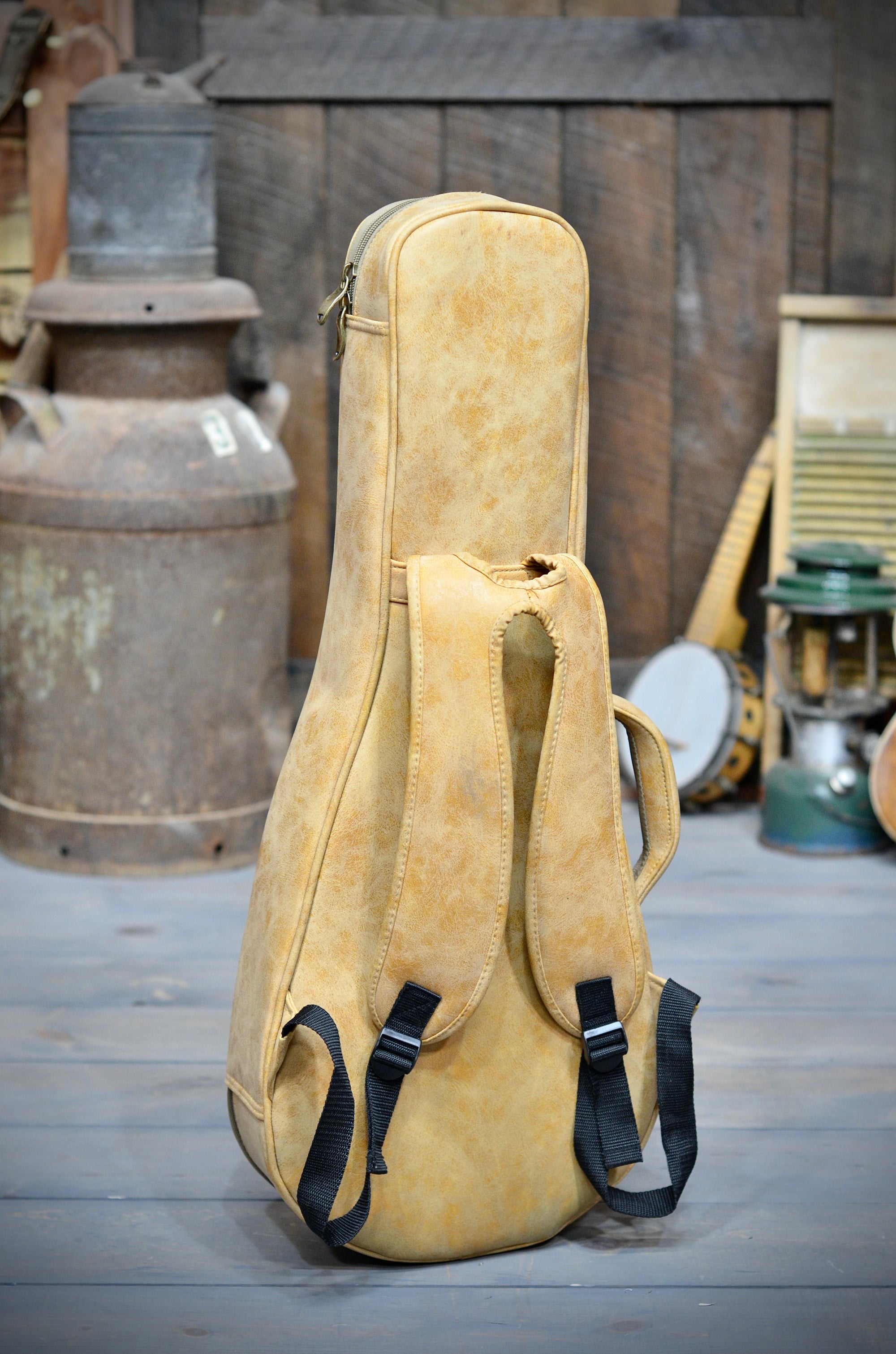 Kentucky KM-500 A-Style Mandolin With Case