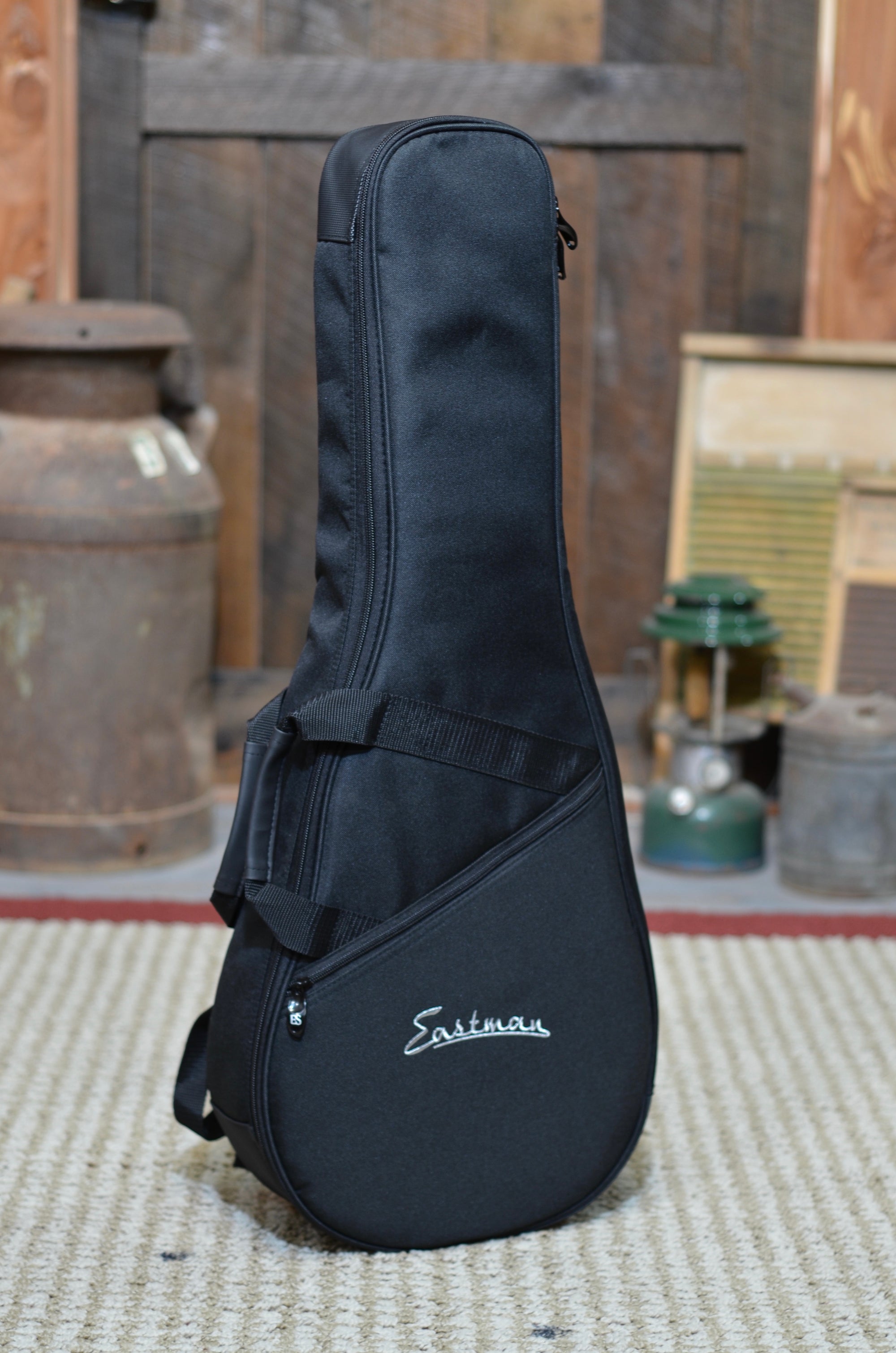 Eastman MDA315 Mandola With Case