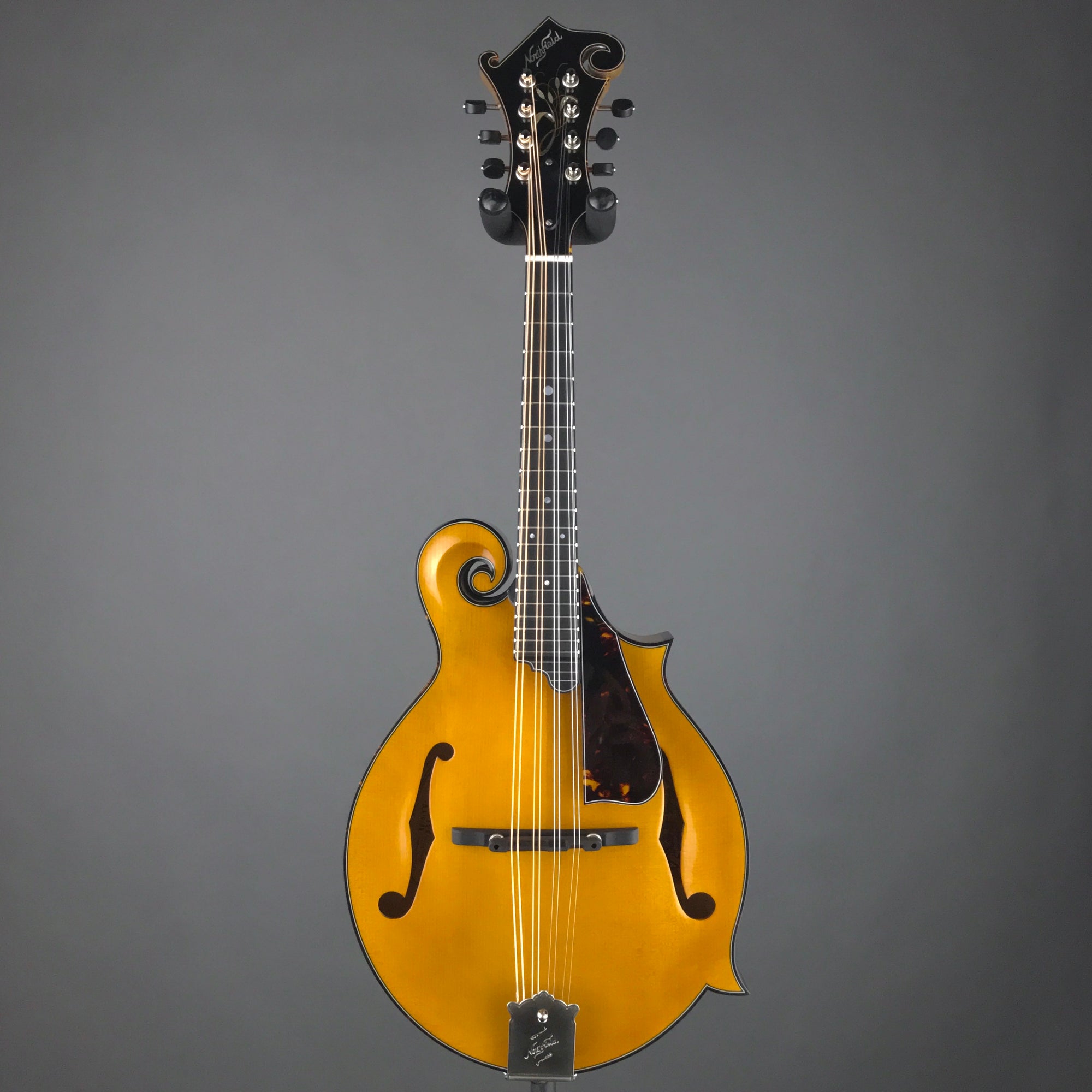 Northfield Artist Series Blonde F-Style Mandolin With Case