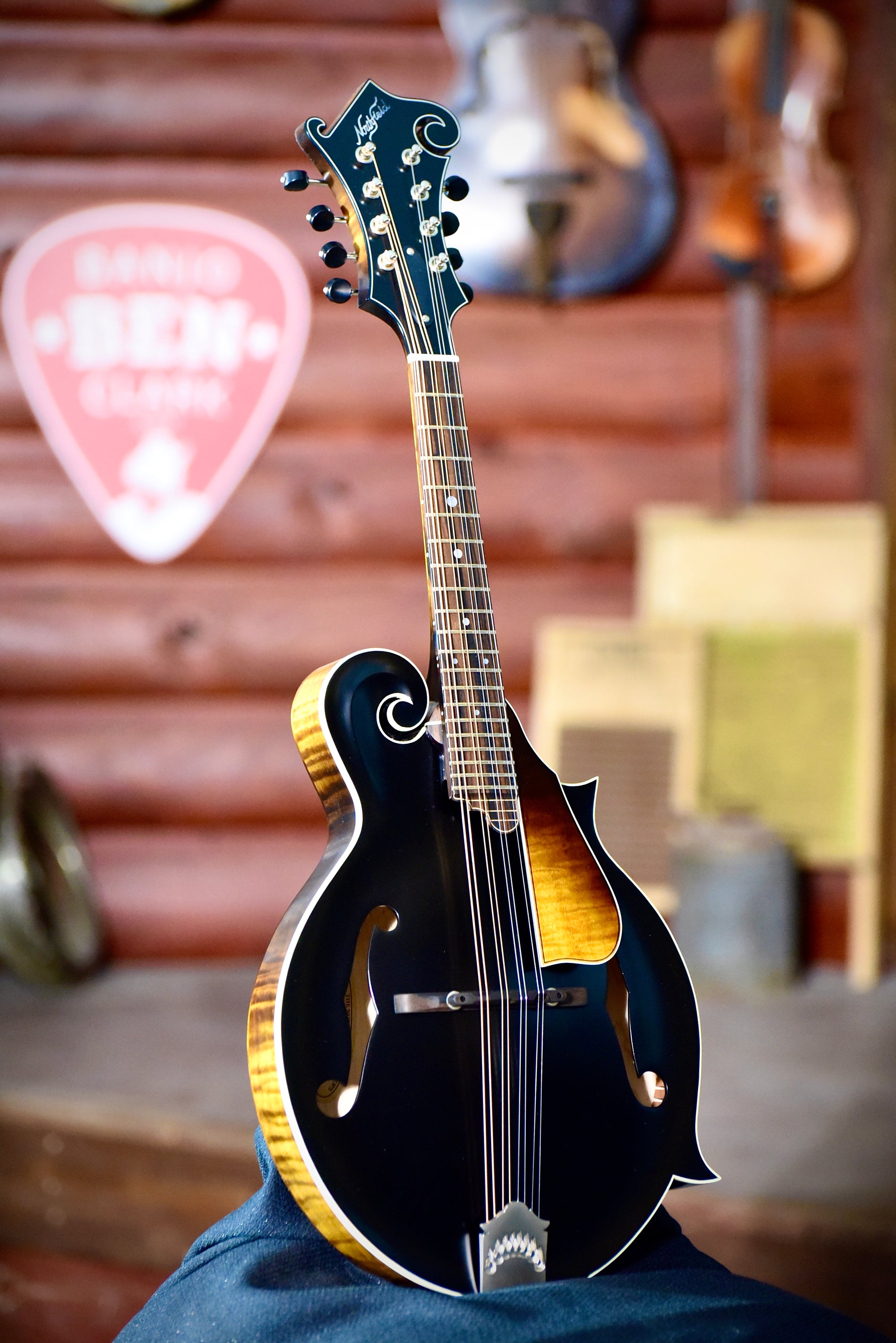 Northfield F5S F-Style Black Top Mandolin With Case